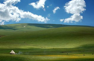 描寫伊犁草原的優(yōu)美古詩句