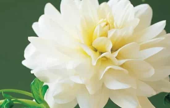 詩句,上巳節(jié)