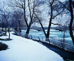 春天雪景的詩(shī)句古詩(shī)