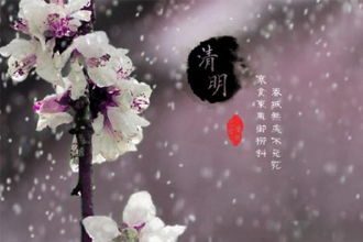 晶晶有發(fā)的古詩句