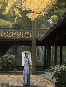 關(guān)于怨別的詩(shī)句