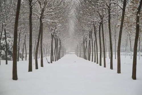 詩(shī)句,自創(chuàng)