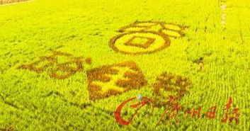 五谷豐登的古詩(shī)句