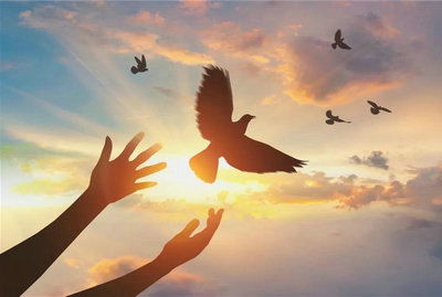 關(guān)于平和淡泊的詩(shī)句