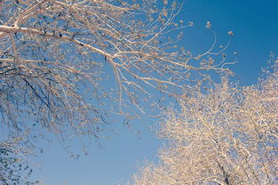 關(guān)于淚滿天的詩句