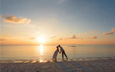 詩(shī)句,挽回,感情