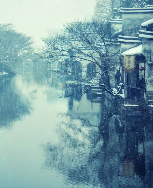 紅樓夢關于美食的詩句