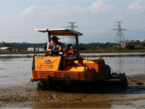 關(guān)于農(nóng)民春耕的詩句