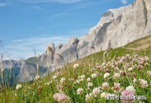 外表柔弱內(nèi)心堅(jiān)強(qiáng)的古詩(shī)句