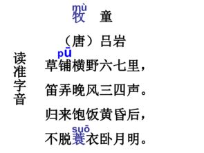 關(guān)于小學(xué)5級(jí)黃河的詩句古詩