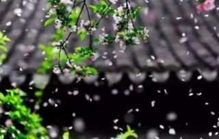 描寫(xiě)春天萬(wàn)物復(fù)蘇的詩(shī)句,春天萬(wàn)物復(fù)蘇的句子的詩(shī)句,贊美春天萬(wàn)物復(fù)蘇的詩(shī)句