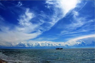 關于勇敢逐夢的詩句