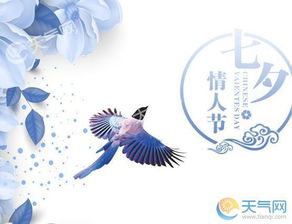 七夕的詩句古詩小學(xué)