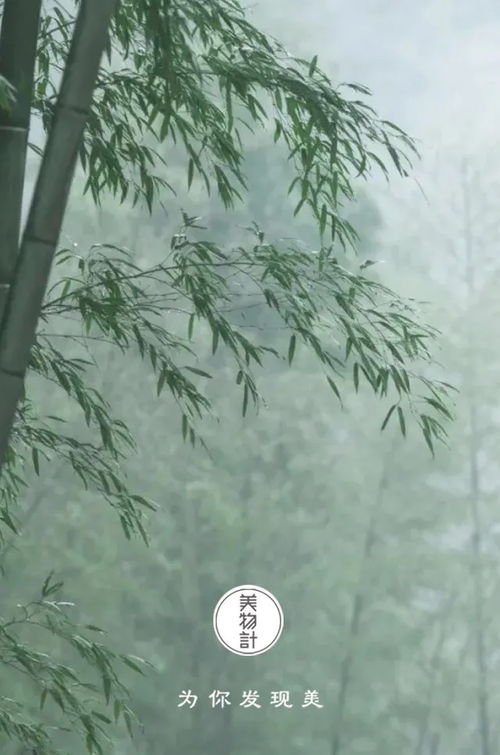 關(guān)于桃花的詩句古詩,關(guān)于梅的詩句古詩,托物言志的詩句古詩