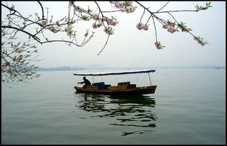 關(guān)于西湖的景色的詩句古詩大全