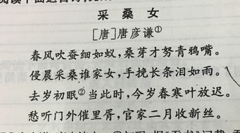 鑒賞自己寫的古詩句