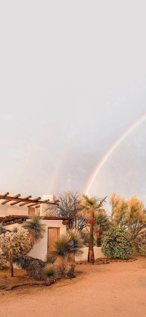 愛到生死的古詩句