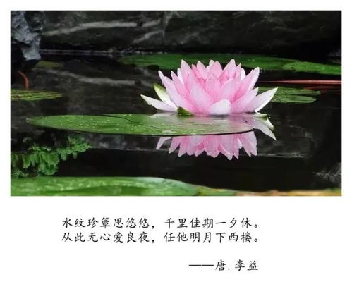 詩句,療傷,時間