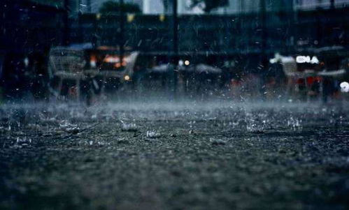 關于猛烈的雨的詩句