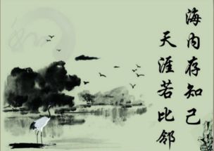關(guān)于朋友冷淡的詩句