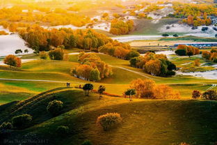 秋日草原的詩(shī)句古詩(shī)