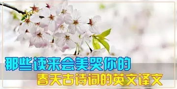 關(guān)于春天的詩(shī)句翻譯