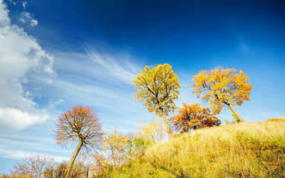 形容秋天天氣好陽光明媚的古詩,形容秋天美好的古詩,形容秋天美景的古詩