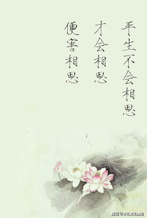 懷念青春的詩句古詩,懷念母親的詩句古詩,懷念春天的詩句古詩