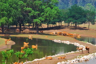 關(guān)于南海子的詩(shī)句