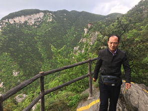 攀登險(xiǎn)峰的古詩(shī)句