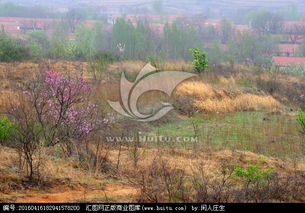 關(guān)于雨中鄉(xiāng)村的詩句