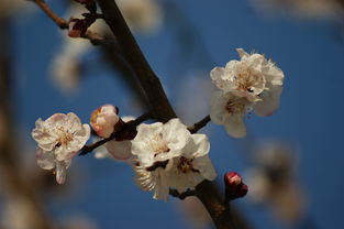春天的詩(shī)句現(xiàn)代詩(shī)歌,春天的詩(shī)句唯美現(xiàn)代,春天綠色的詩(shī)句現(xiàn)代