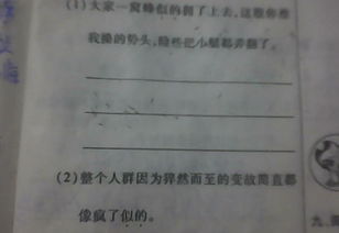 古詩句大全加造句