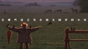 關(guān)于臘月的唯美詩句