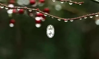 含有雨字的古詩句,含有雨的古詩句有哪些,寫出含有雨的古詩句