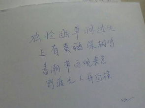 滁州,古詩,詩句,拼音