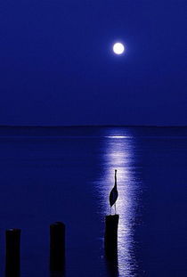 中秋節(jié)的情人離別詩句古詩