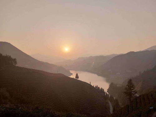 關(guān)于描繪長(zhǎng)江景色的詩(shī)句