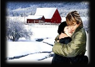 關(guān)于描寫雪天景象句子詩句