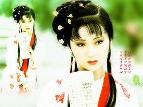 紅樓夢有關林黛玉葬花的詩句,紅樓夢屬于林黛玉的詩句,紅樓夢贊美林黛玉的詩句