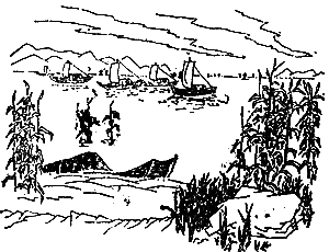 含有成語(yǔ)的古詩(shī)句,含有菊花的古詩(shī)句,含有花的古詩(shī)句