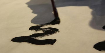 詩(shī)句,于有瑩