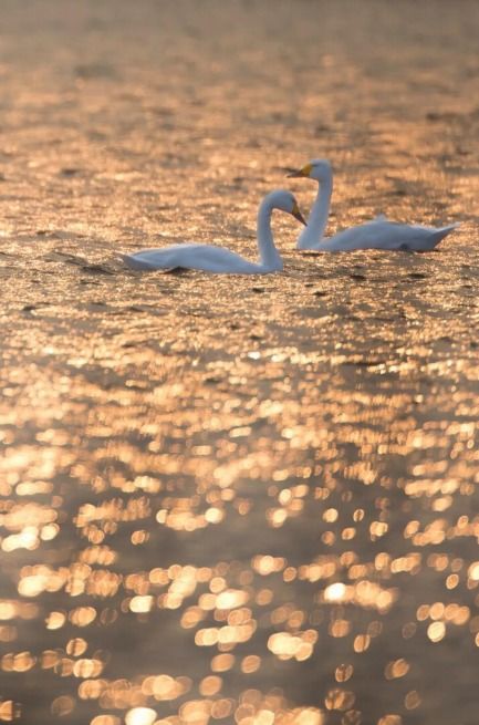 關于窗字的詩句