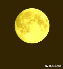 關(guān)于中秋節(jié)的傷感詩句