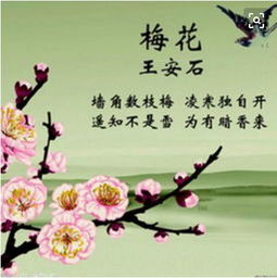 關(guān)于講梅花的詩(shī)句