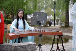 高山流的古詩句