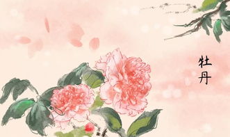 關于牡丹的詩句王建