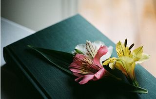 關(guān)于潮落的詩(shī)句