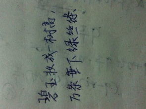 描寫秋天美景的古詩句,描寫秋天美景的古詩句三年級,描寫秋天美景的古詩句二年級