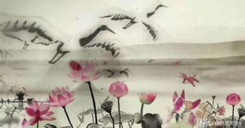 古詩,詩句,陽光